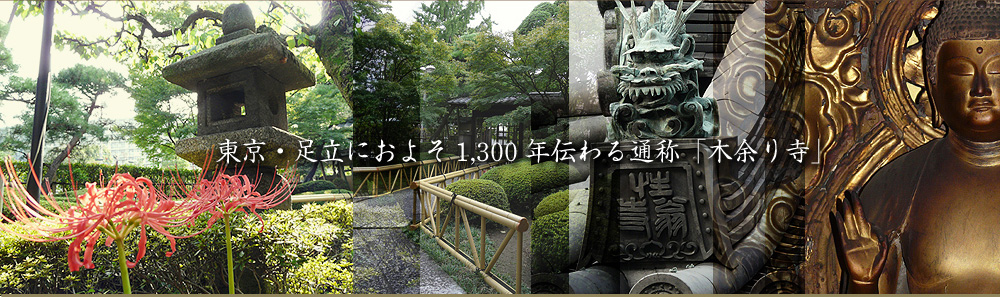 性翁寺｜東京都足立におよそ1,300年伝わる通称「木余り寺」